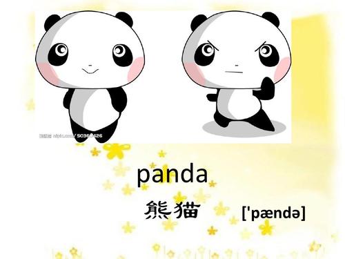 panda音标（英語和美語音标不同）1