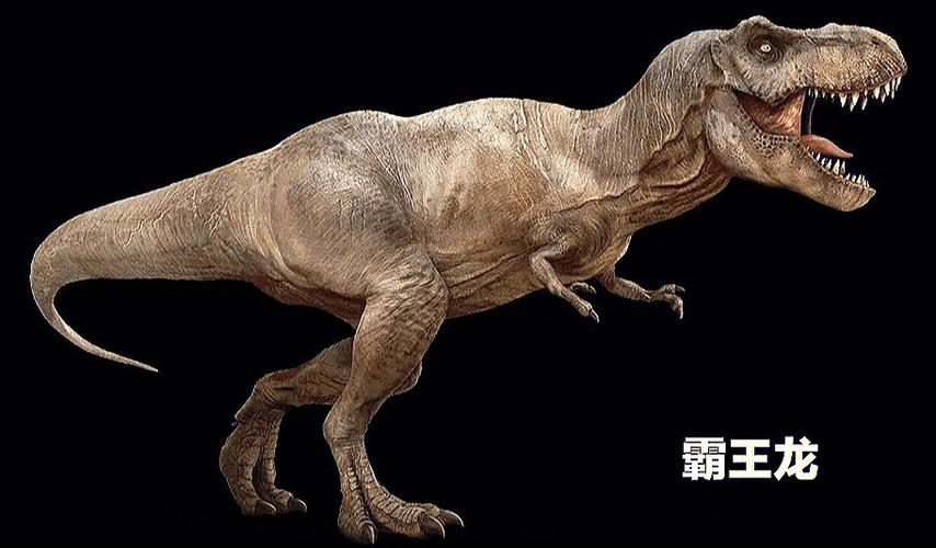 白垩紀早期最強大的恐龍（白垩紀營地12種恐龍解析）1