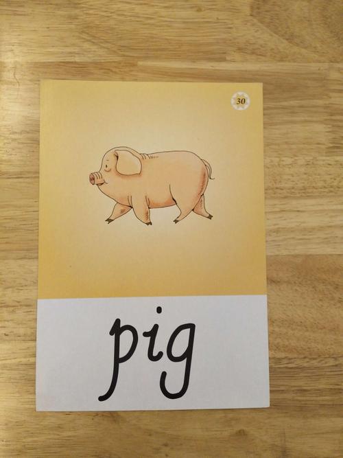 豬的英語怎麼讀