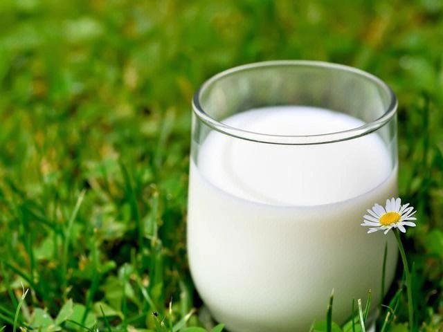 牛奶加熱喝會影響它的營養價值嗎（加熱牛奶的注意事項）1