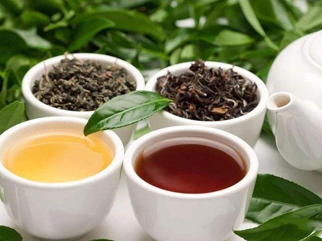 喝紅茶與綠茶的區别（茶葉雖好但不能亂喝）1