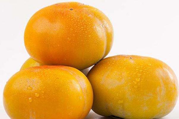 腸胃炎可以吃脆柿子嗎（柿子清甜軟糯不可多食）1