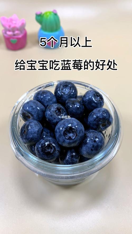 1周寶寶可以吃藍莓嗎