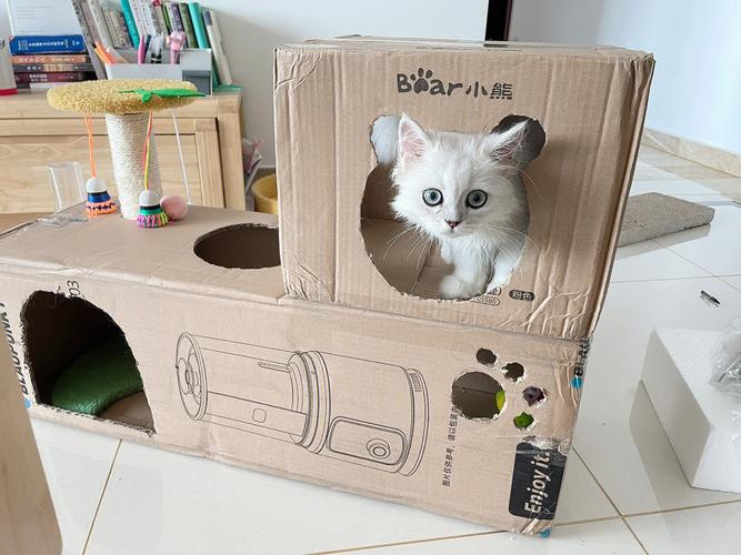 用快遞紙箱給貓咪做東西（快遞的紙箱不要扔）1
