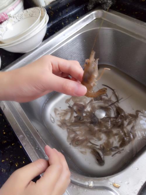怎麼洗生蝦（如何洗幹淨生蝦）1