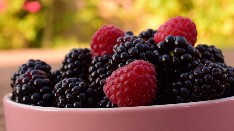 黑莓水果怎麼保存（黑莓水果如何保存）1