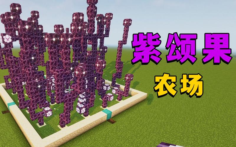 我的世界紫頌果怎麼種