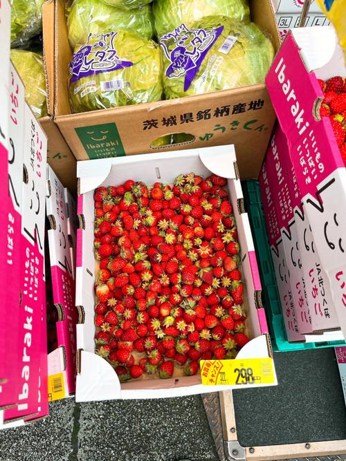 草莓價格40元一箱（本地草莓上市啦）1