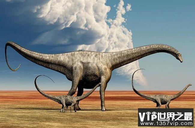 世界上最大的恐龍是什麼（世界上最大的恐龍介紹）1