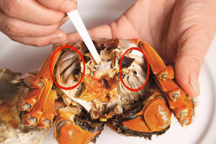 螃蟹中的哪些部位不能吃（螃蟹有四個部位是不能吃的）1