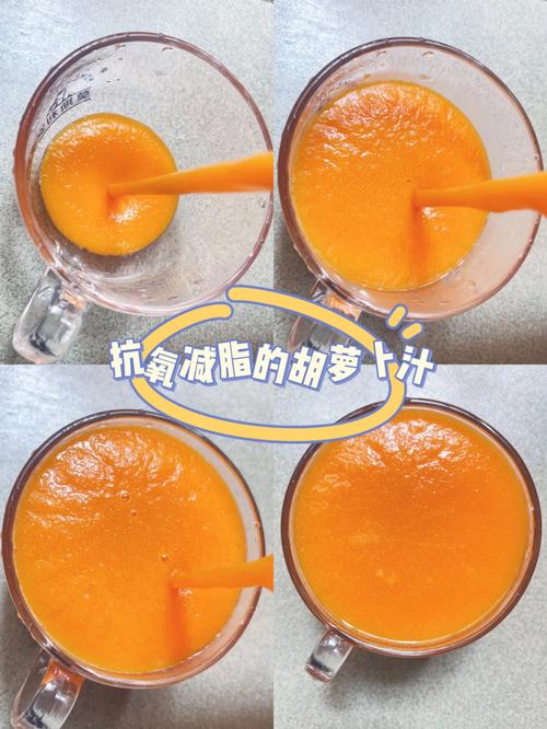 胡蘿蔔汁怎樣做（胡蘿蔔汁如何做）1