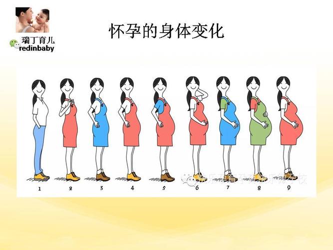 懷孕之後身體會有哪些小變化（懷孕後身體的那些變化）1