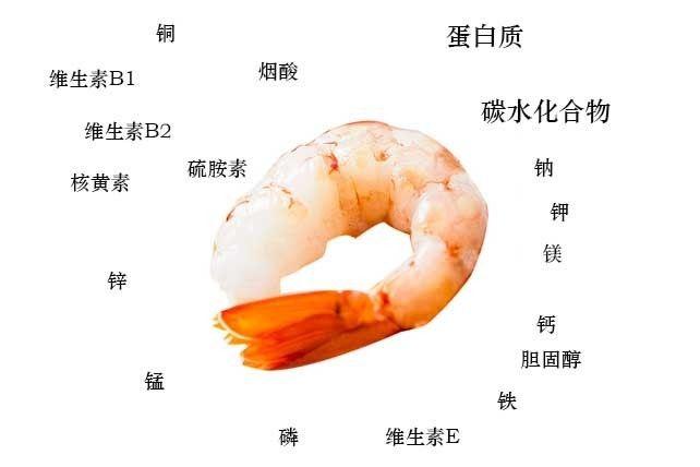 蝦的營養成分及功效與作用（低脂肪的營養佳品）1
