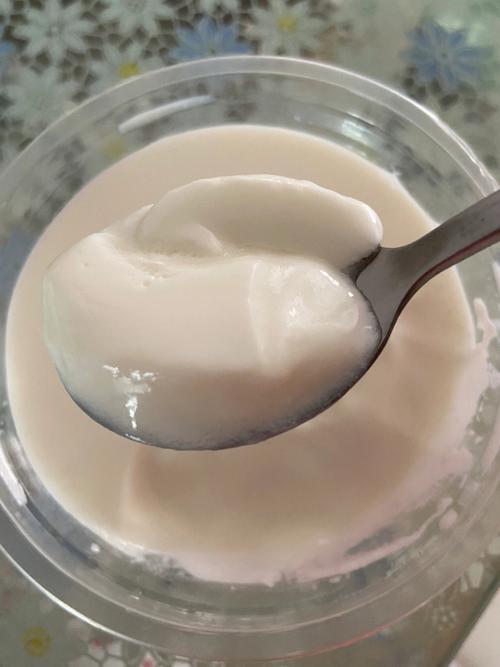 熟酸奶怎麼做（有什麼制作的技巧）1