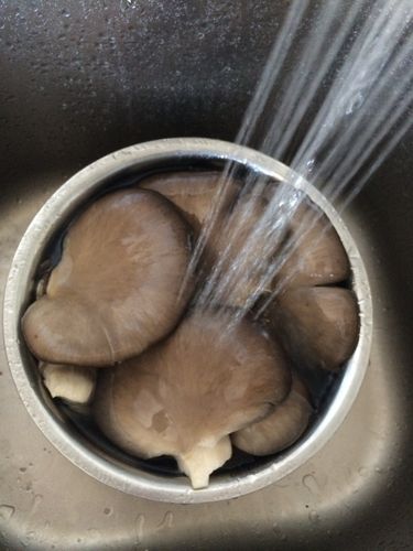 蘑菇怎麼洗又快又幹淨（蘑菇的清洗方法）1