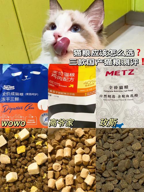 國内最受歡迎的前三種貓糧（6款熱門貓糧測評）1