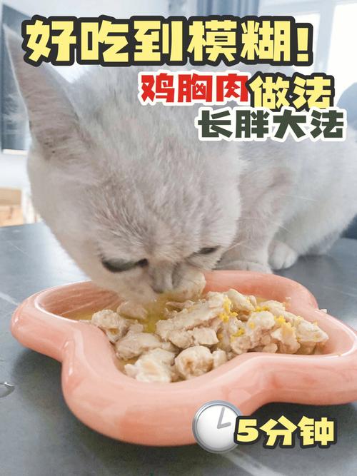 貓吃水煮雞胸肉做法