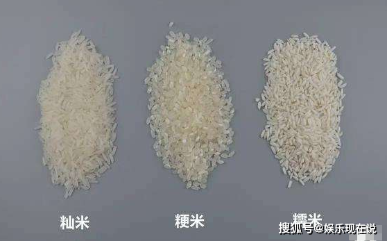 燦米和粳米有什麼區别（燦米和粳米的區别）1