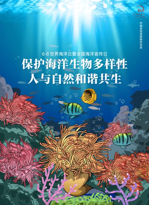 為保護珊瑚和海洋生物做出貢獻（為保護珊瑚和海洋生物）1