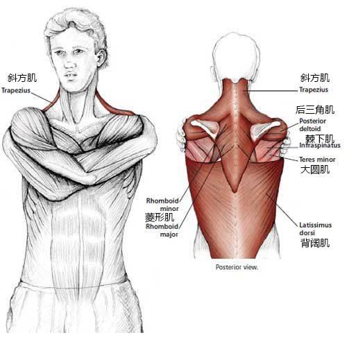 練肩前的十大注意事項（肩膀越柔軟越好）4