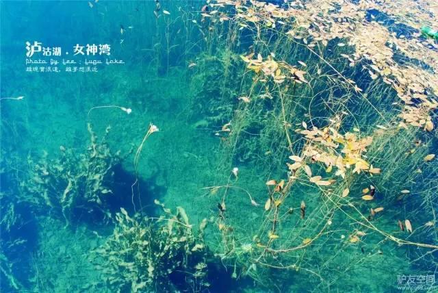 泸沽湖什麼季節旅遊最好（泸沽湖即将進入旅遊最佳時節）5