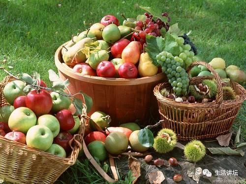各個水果的功效和營養價值及作用（常見水果的營養價值及功效）1