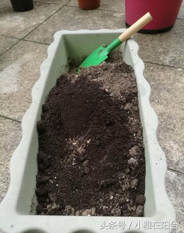 種花的土壤配制（種花的好土肥土到底是怎麼配出來）1