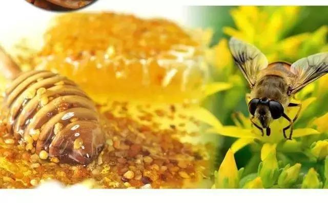 最好的蜂制品有哪些（養生滋補之蜂産品100問第八篇）14