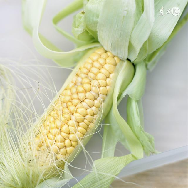轉基因玉米能不能吃（可以生吃的水果玉米引争議）1