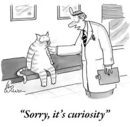 好奇心害死貓真的嗎