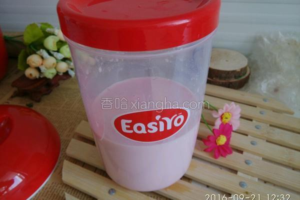 easiyo酸奶制作機教程（自制草莓酸奶EasiYo酸奶機）8
