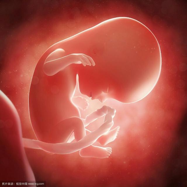 懷孕早期孕囊大小的标準（孕早期孕囊大小對照表）2