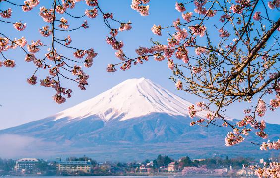 富士山為什麼不收租（富士山竟然不屬于日本國有）6