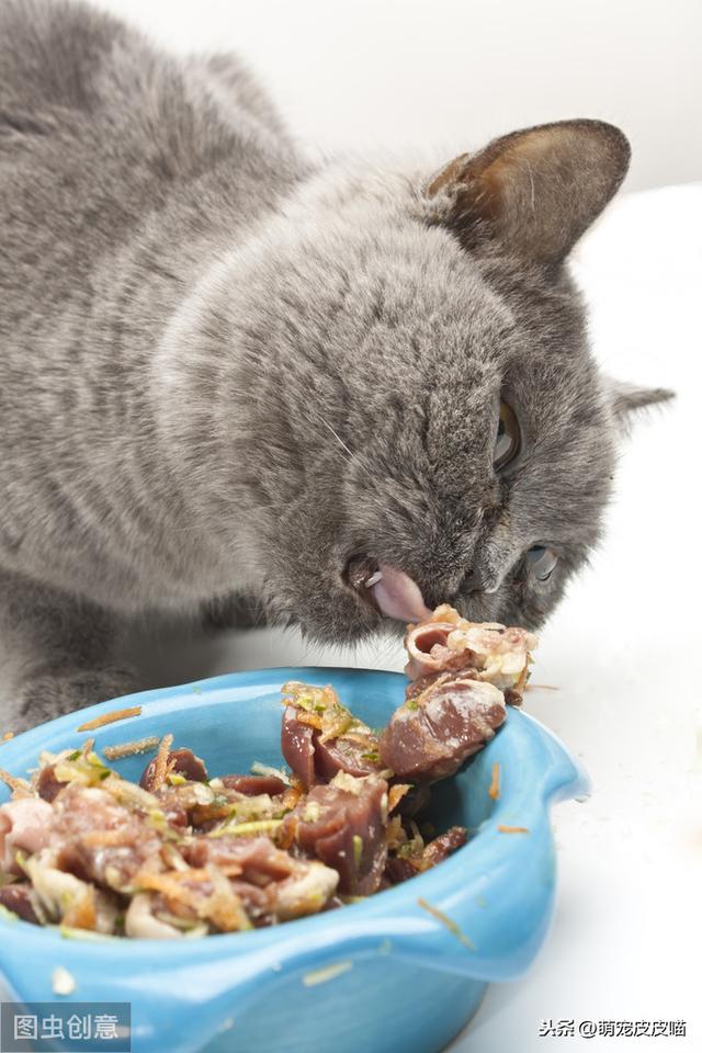貓吃貓糧拉稀怎麼治（貓吃高蛋白貓糧不耐受）4