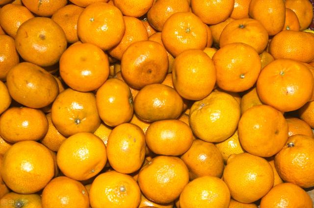 挑選橘子的正确方法（橘子不一定黃的好）4