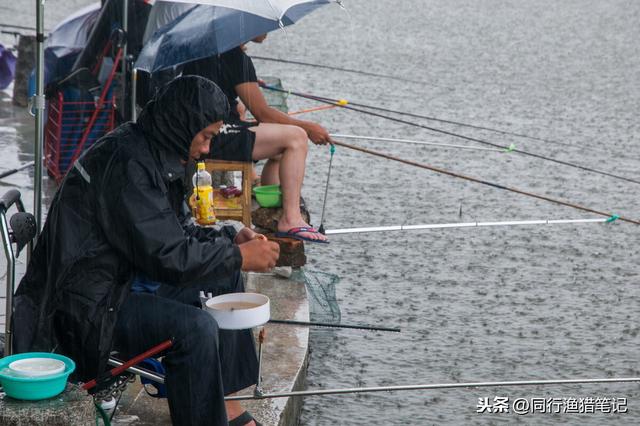 春天陰天刮風釣魚怎麼選擇釣位（雨聲潺潺好釣魚）1