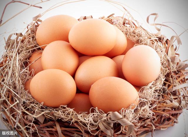 土雞蛋是否比普通雞蛋更有營養（土雞蛋真的更有營養價值）1