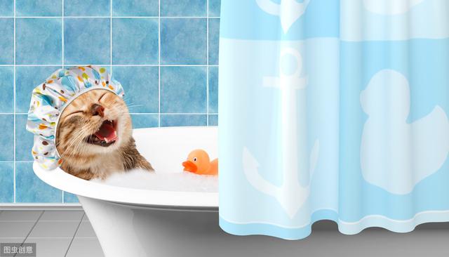 貓咪那麼愛幹淨還用洗澡麼