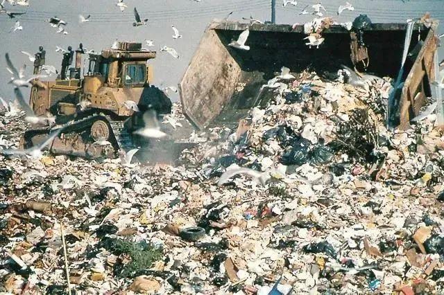 固體廢物污染的原因是什麼（關于固體廢物污染的這些知識）6