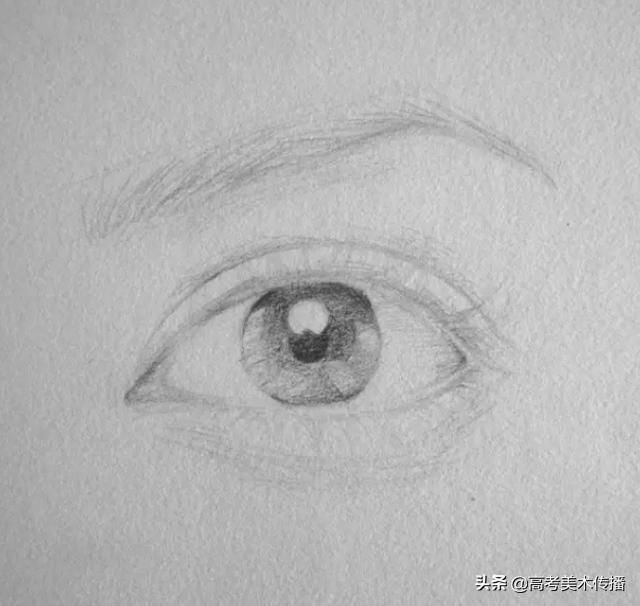 素描眼睛畫法步驟結構（美術繪畫素描之眼睛的結構和畫法）6