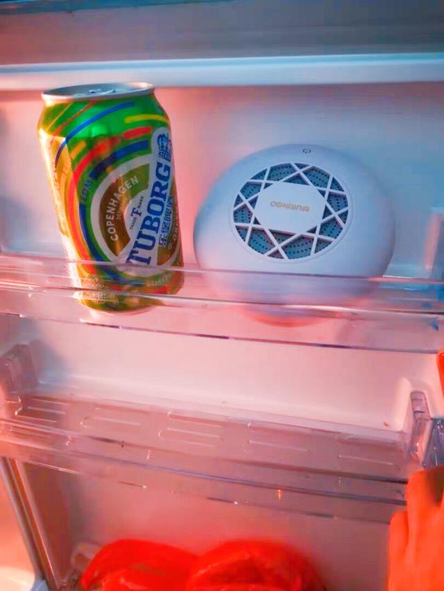 冰箱除味器安全嗎（冰箱除味器是智商稅）4