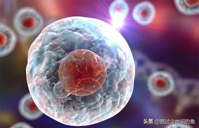 人體存在哪些幹細胞的作用（幹細胞與人體8大系統的關系）1