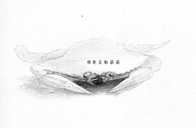 畫螃蟹最簡單畫法（教你畫一隻大螃蟹）5