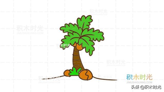手繪簡筆畫椰子樹（椰子樹掌簡筆畫教程）2