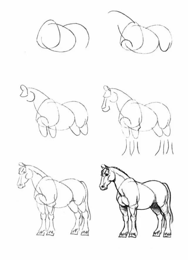 怎麼畫馬最簡單最好看帥氣（幹貨不會畫馬教你40種馬的結構畫法）39