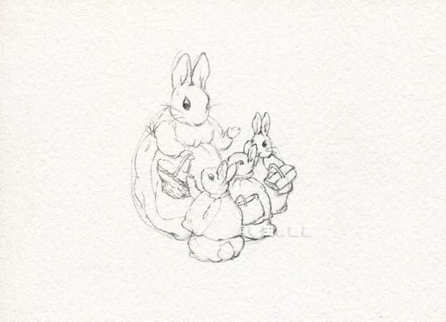 如何簡筆畫兔兔（彼得兔簡筆畫6步教你學會）3