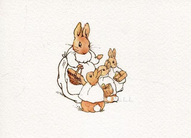 如何簡筆畫兔兔（彼得兔簡筆畫6步教你學會）5