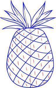 簡單的簡筆畫水果葡萄（草莓香蕉菠蘿）15