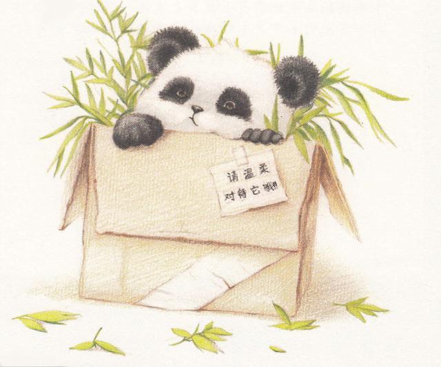 怎麼畫特别可愛的小熊貓（紙箱裡的可愛小熊貓）13
