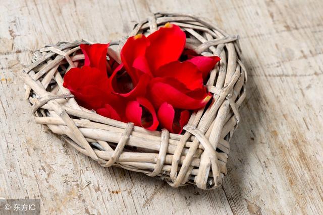 你知道玫瑰花的花語是什麼嗎（不同的數量代表不同的愛）2